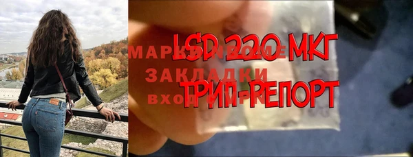 прущие грибы Абдулино