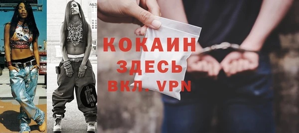 крисы Алексин
