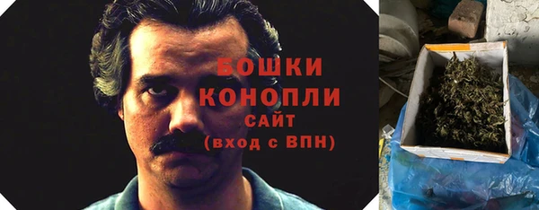 гидра Абаза
