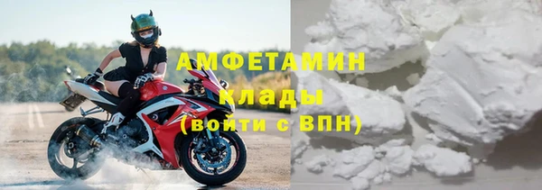 крисы Алексин