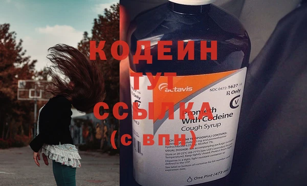 гидра Абаза