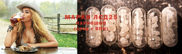 прущие грибы Абдулино