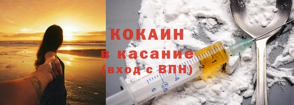 гидра Абаза