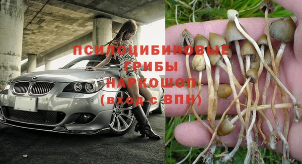 гидра Абаза
