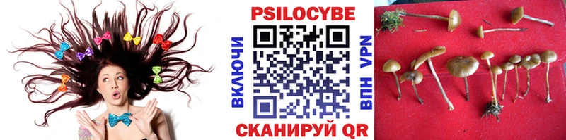 Галлюциногенные грибы Cubensis  Киренск 